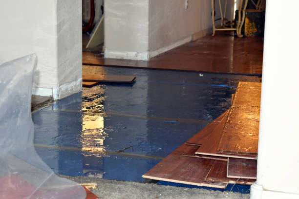 Professional Basement Flood Cleanup technician working in Fulton, NY